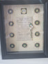 Prison badges framed set