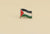 The Palestinian flag Pin